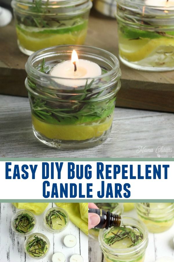 homemade diy bug repellent candle jars with lemons and herbs in them