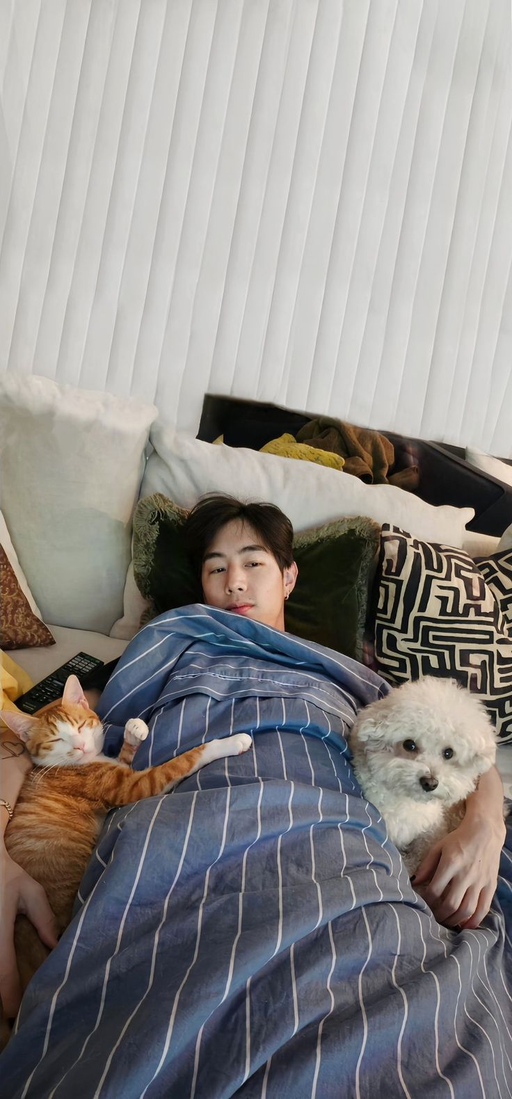 a man laying in bed with his dog and cat