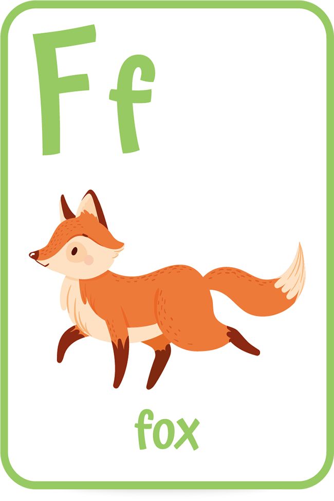 the letter f is for fox