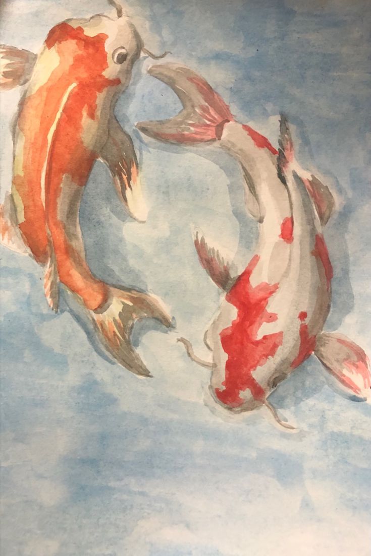 watercolor painting of four koi fish swimming in the blue water with white clouds