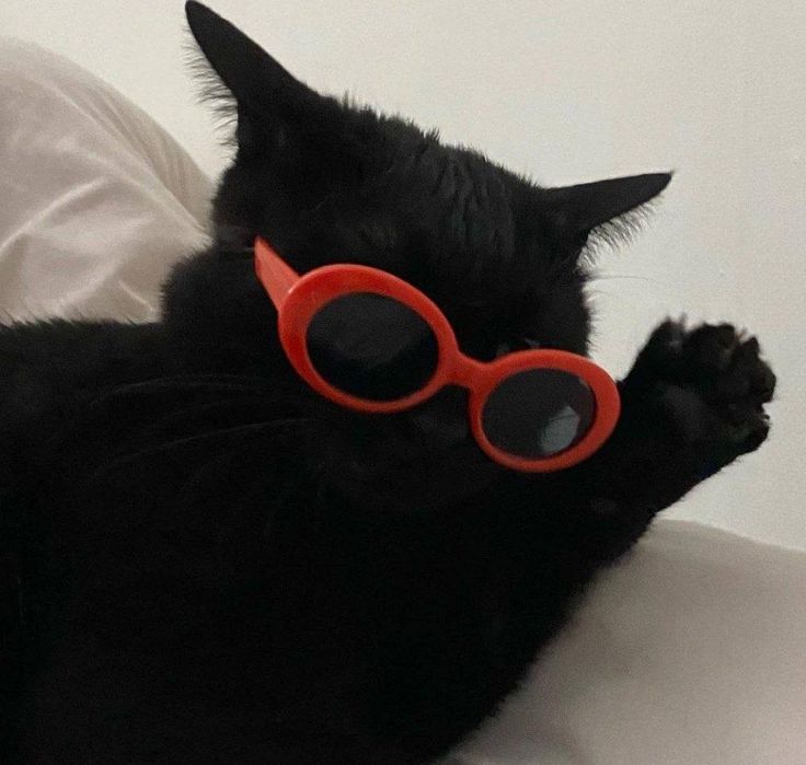 a black cat with red glasses on it's head laying down next to a pillow