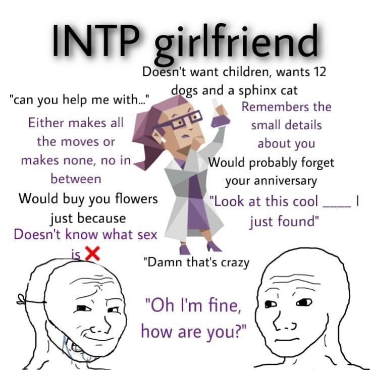 When An Intp Likes You, Entp X Intp Relationship, Entp And Intp Relationship, Intp Entp Relationship, Infp Intp Relationship, Intp X Istp Relationship, Intp Memes Funny, Intp Aesthetics Vibes, Intp Personality Aesthetic