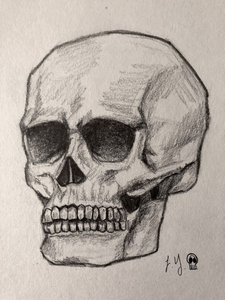 pencil sketch of a skull Skeleton Drawing On Black Paper, Sketch Of Skull, Sketch Of Skeleton, Skull Drawing Sketches Art, Sketches Skull, Black And White Sketches Skull, Skull Sketches Pencil, Drawing Of A Skull, Sketch Ideas Dark