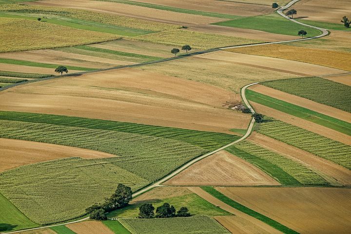 an aerial view of farmland and trees in the distance