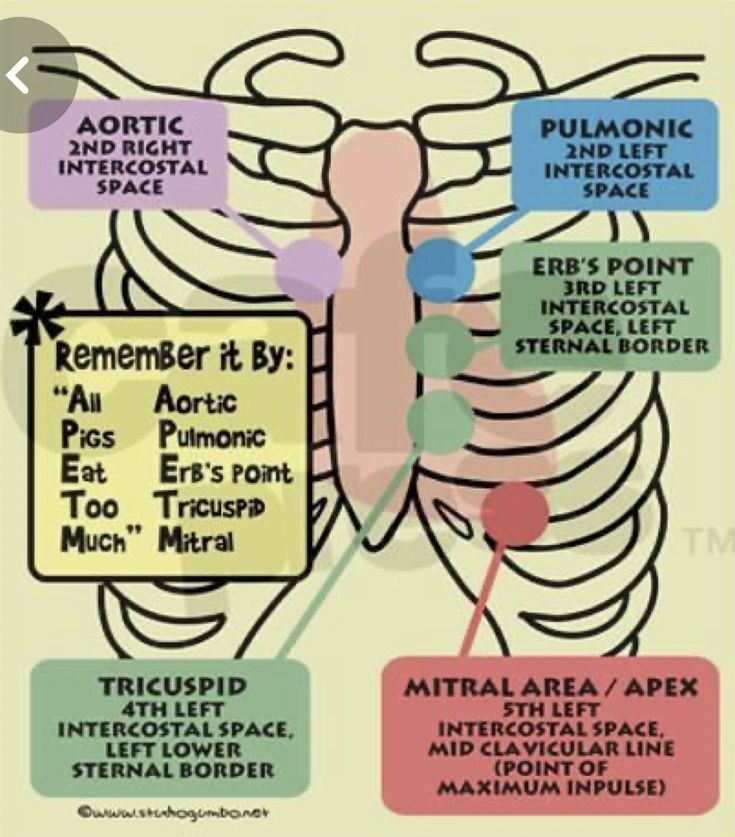 an image of the human body with labels on it