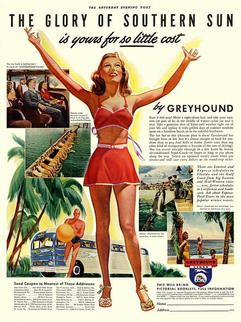 an advertisement for grey hound clothing featuring a woman in a red swimsuit and palm trees