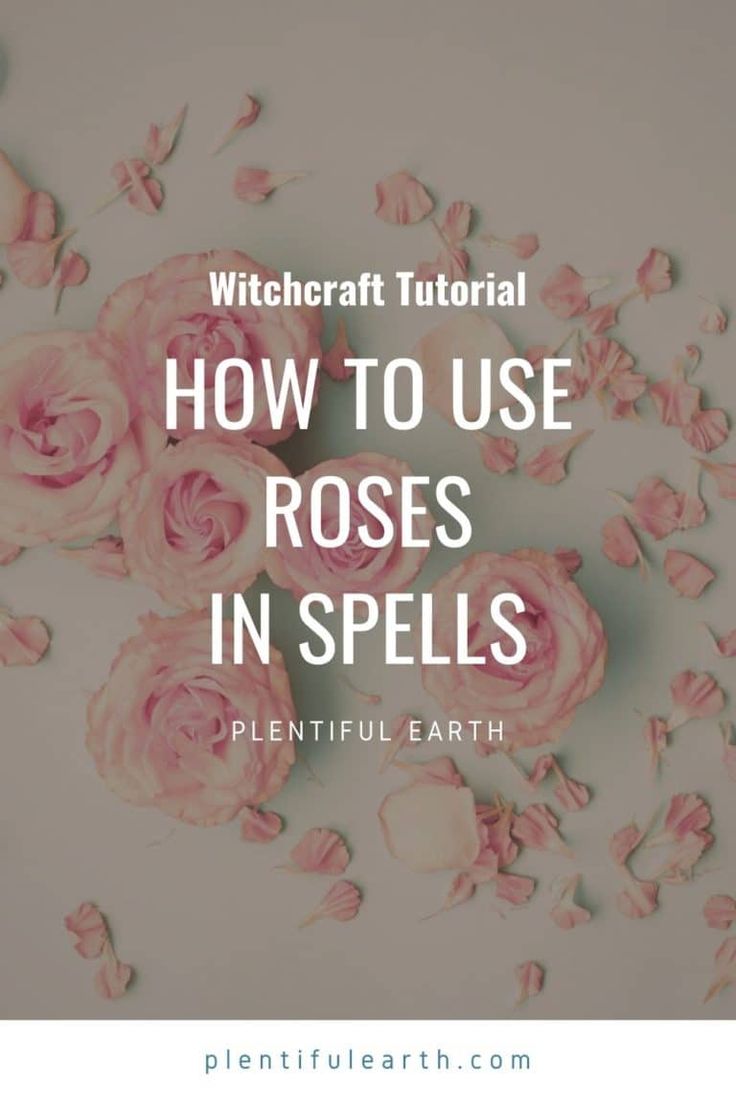 pink roses with text that reads, how to use roses in spells plentiful earth