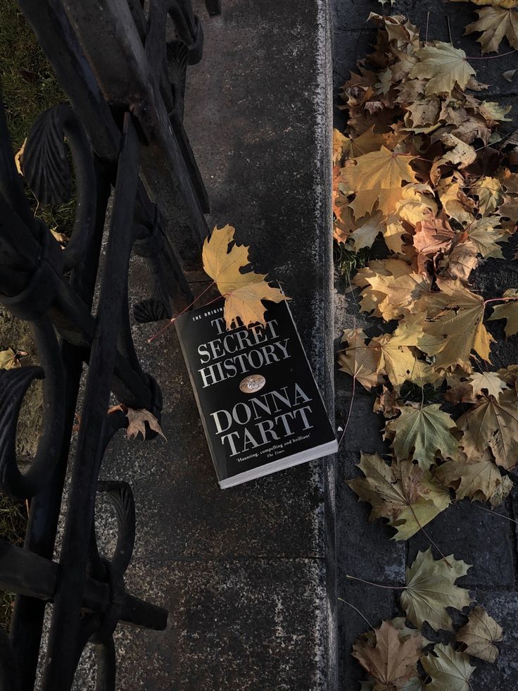 a book sitting on the ground next to some leaves