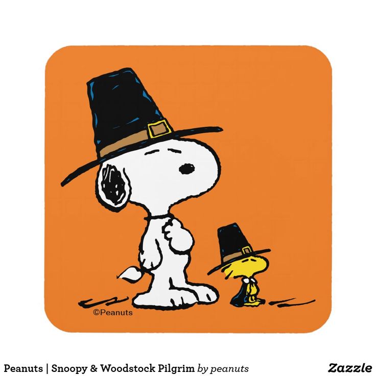 a charlie the peanuts snoopy and woodack pilgrim peanuts on an orange background