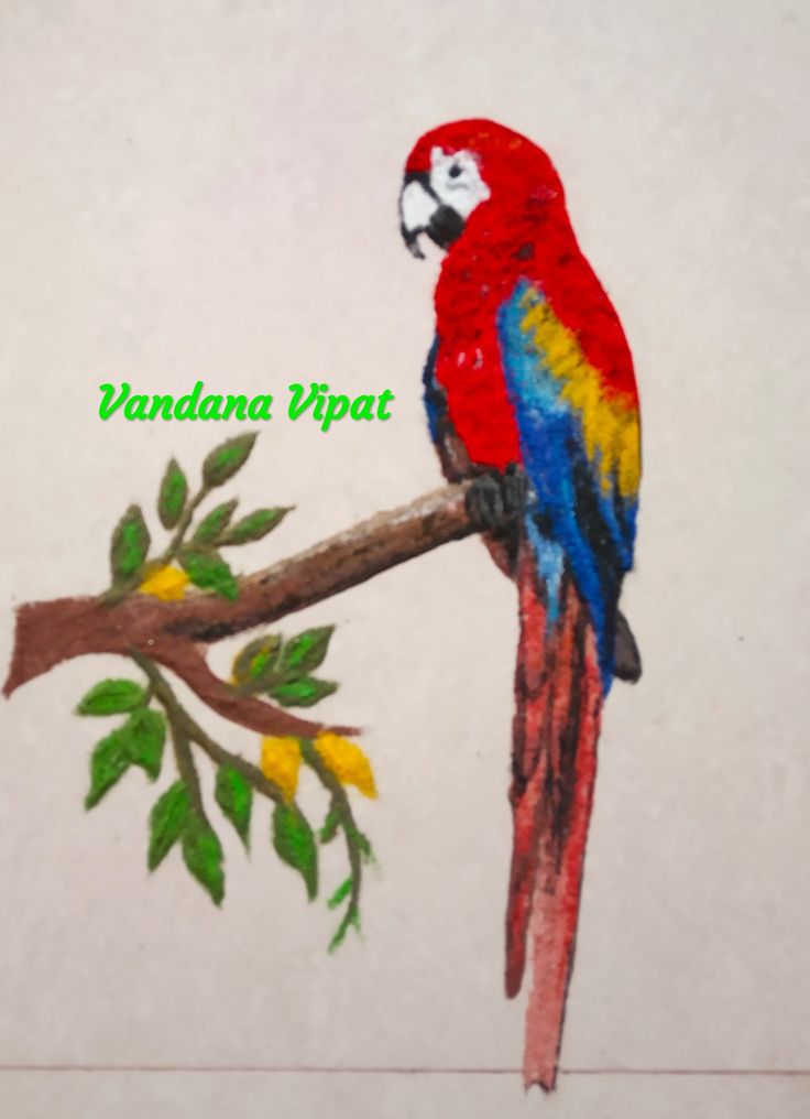 a colorful parrot sitting on top of a tree branch