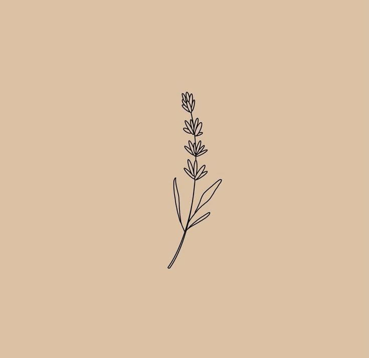 a drawing of a flower on a beige background