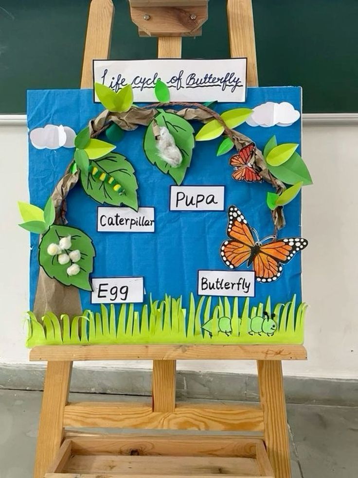 an easel with paper cut out of the life cycle of a butterfly on it