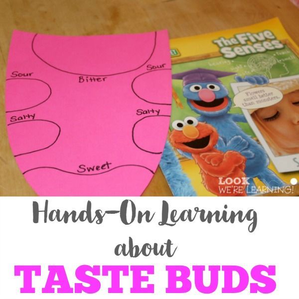 hands - on learning about taste buds with the sesame street book and cookie monster craft