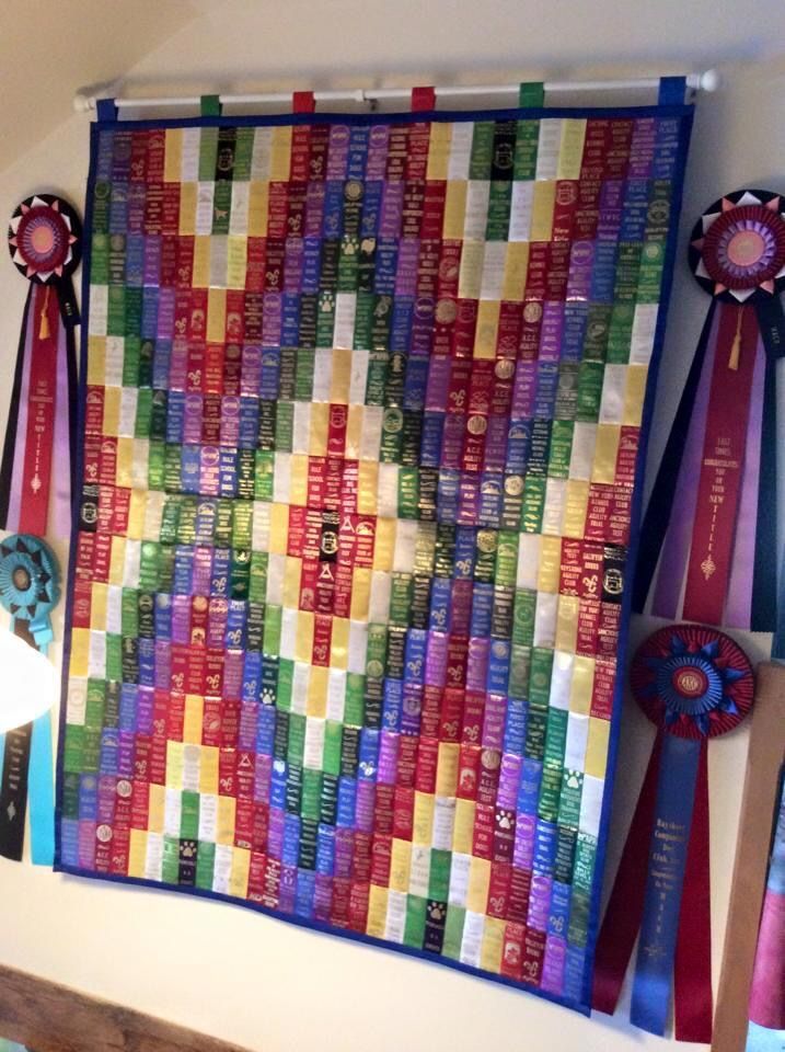 a colorful quilt hanging on the wall with ribbons around it and two awards attached to it