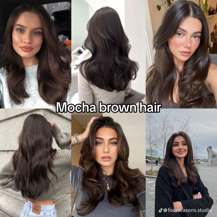 Medium Long Haircuts For Fine Hair, Different Brunette Shades, Dark Amber Brown Hair, Neutral Warm Hair Colors, Mocha Brown Hair Color With Highlights, Dark Mocha Brown Hair Color, Brown Mocha Hair Color, Different Shades Of Brunette Hair, Cool Mocha Brown Hair