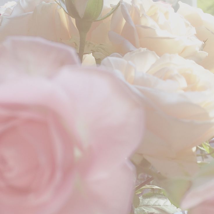 some pink flowers are in a vase on the table and one is blurry with light