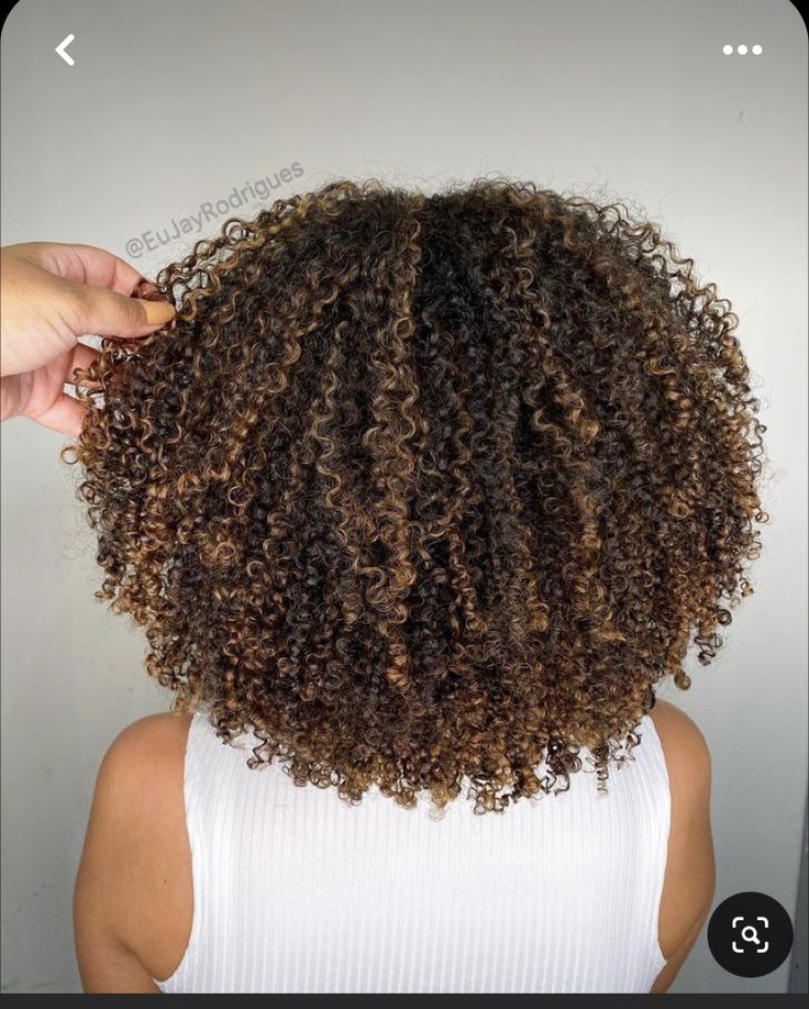 Hair Chestnut Brown, Brown Hair Curly, Auburn Brown Hair, Curly Hair Color Ideas, Curly Hair Color, Natural Hair Highlights, Curly Highlights, Dyed Curly Hair, Natural Curly Hair Cuts