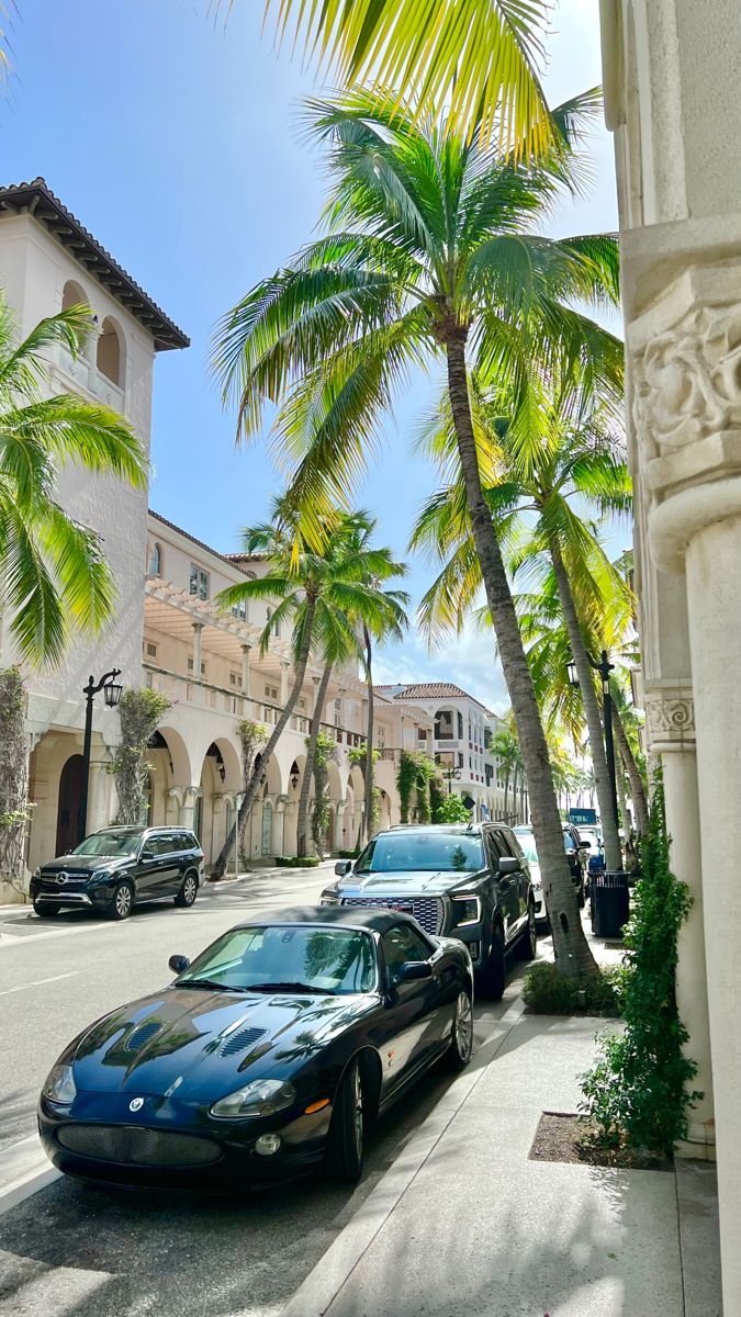 several cars parked on the side of a street next to palm trees and buildings in front of them