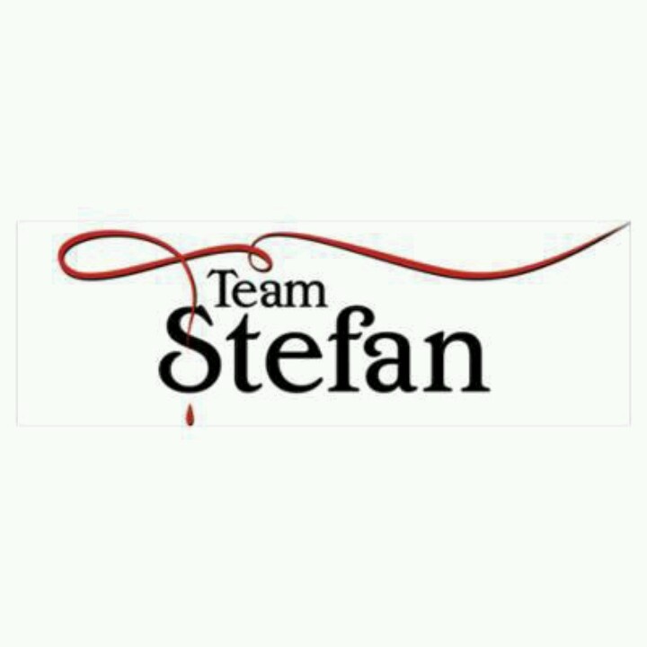 the logo for team steffan, which is featured in an article about how to use