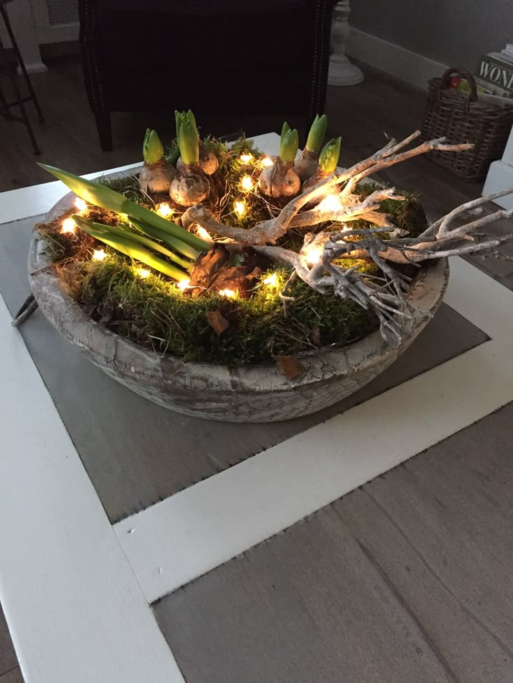 a bowl filled with plants and lights on top of a table