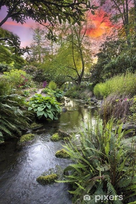 an image of a river surrounded by trees and plants in the forest with colorful sky