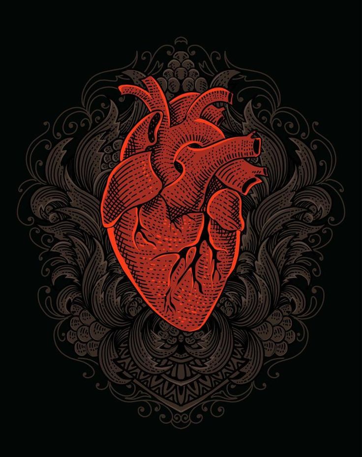 the human heart on a black background with floral ornament elements - stock photo