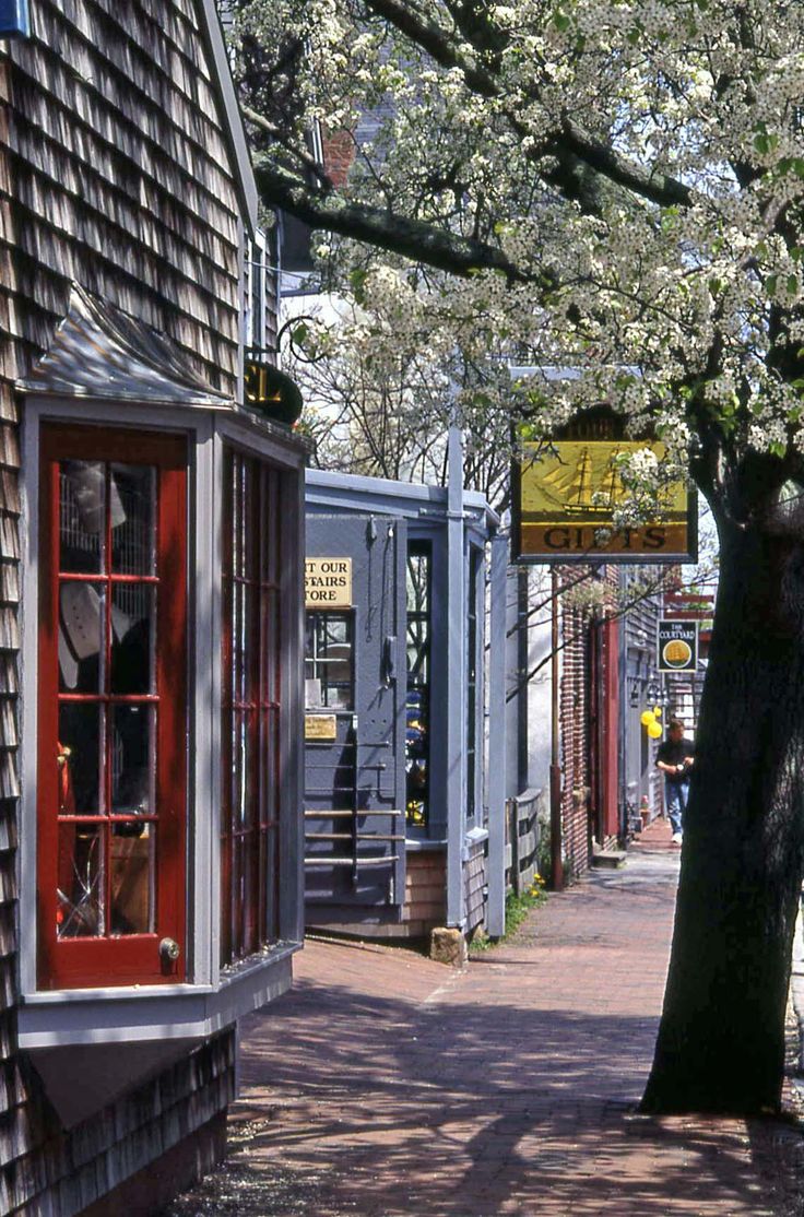 a tree in front of a building with red doors and windows on the side walk