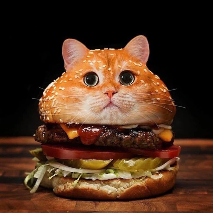 an orange cat is sitting on top of a hamburger