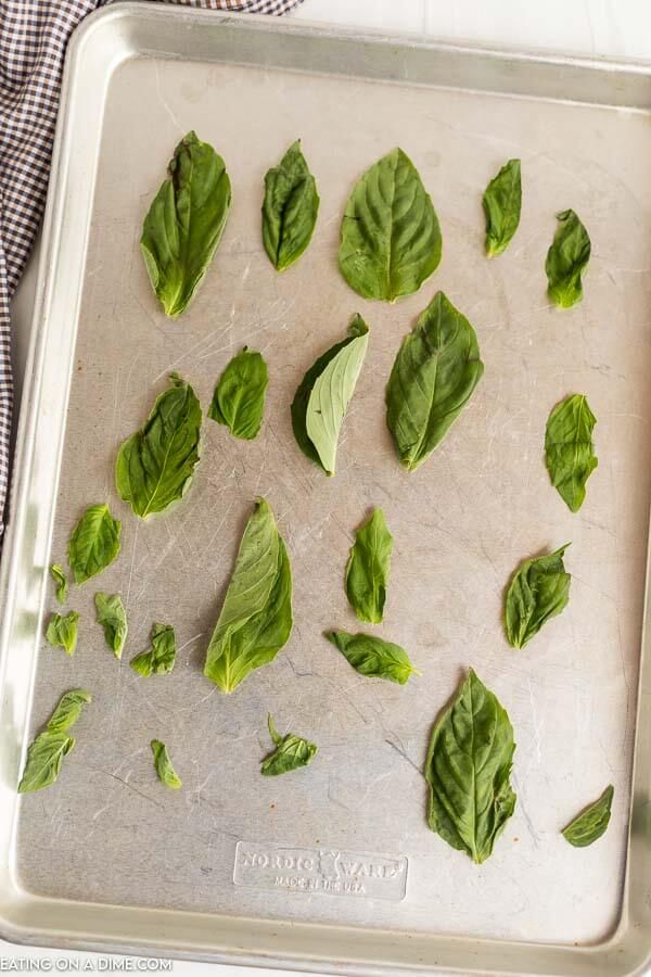 fresh basil leaves on a baking sheet ready to go into the oven for roasting