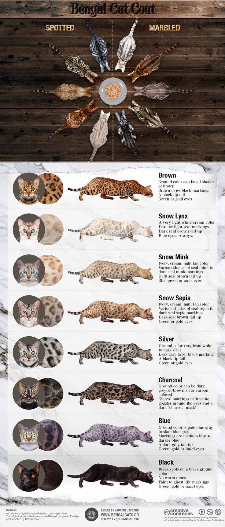 the different types of cats are shown in this poster, which shows them all different colors and sizes