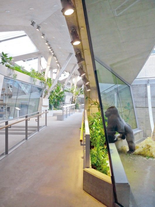 an indoor planter filled with plants inside of a glass walled building next to a walkway