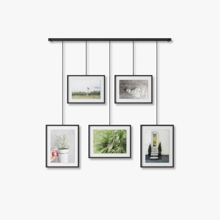 four frames hanging from a metal bar with pictures on the wall above them and one is holding a plant