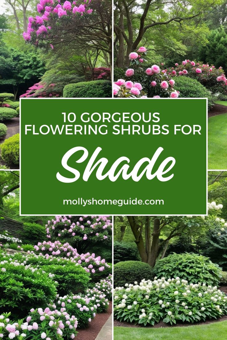 the top 10 gorgeous flowering shrubs for shade in your yard or garden, with text overlay