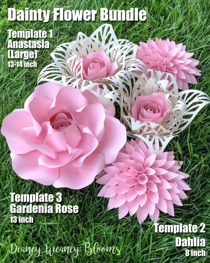 paper flowers are arranged in the grass with names on them and instructions for how to make them