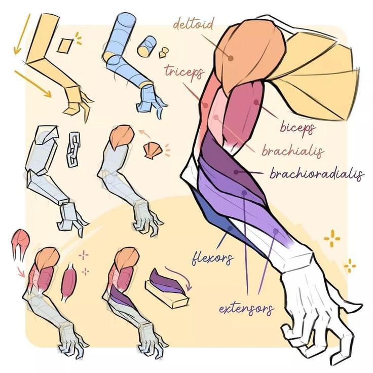 an image of a man's arm with different parts labeled in it and instructions on how to wrap the arm