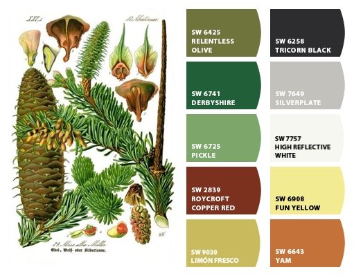 the color scheme for this painting shows different types of pine cones, and other plants