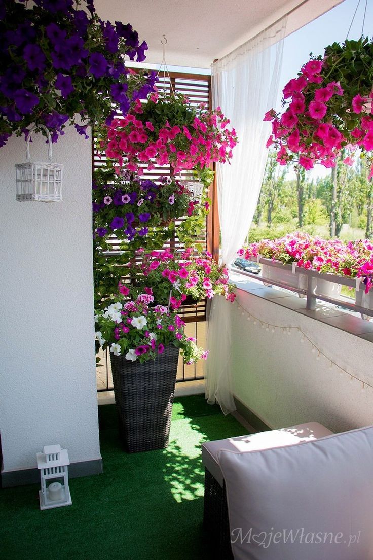 purple and white flowers are hanging from the balcony