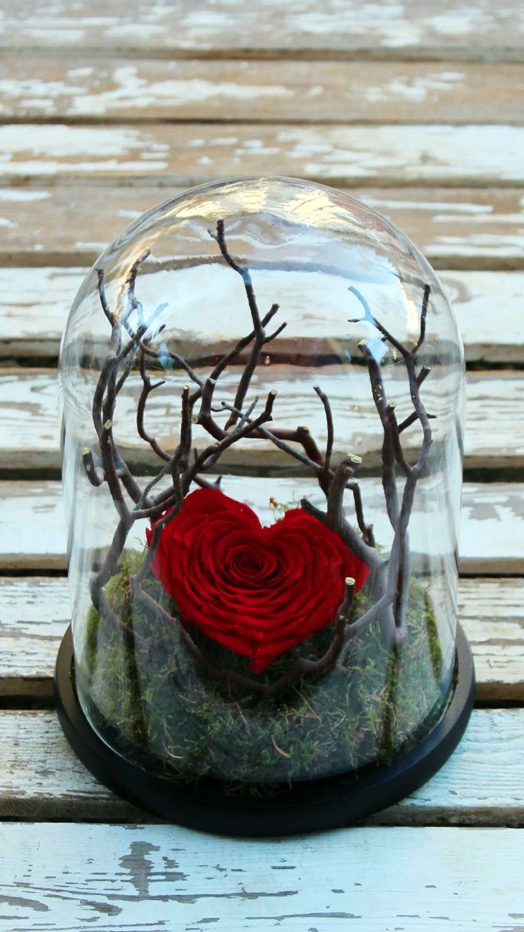 a red rose in a glass dome with branches and moss on the bottom, sitting on a wooden table