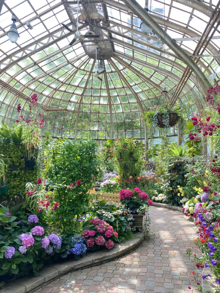 the inside of a greenhouse filled with lots of flowers