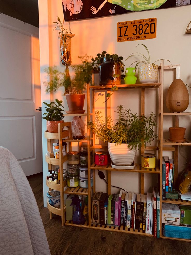 a shelf filled with potted plants next to a bed