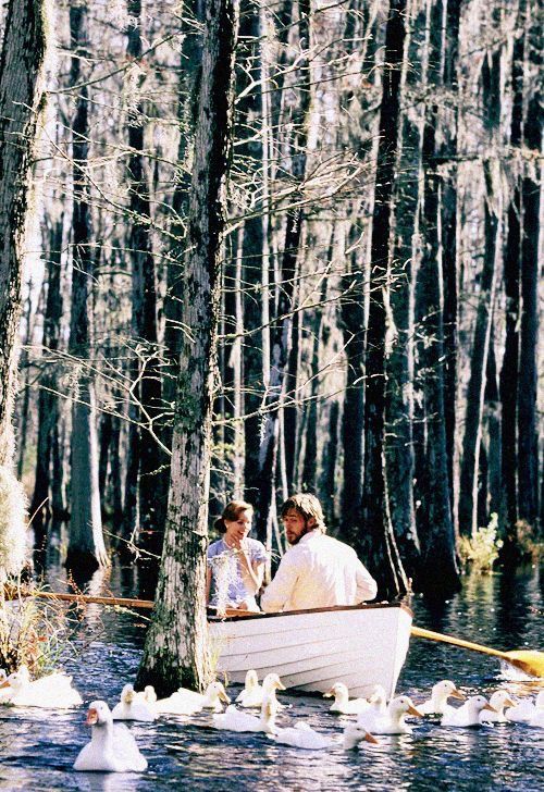 two people in a row boat surrounded by ducks