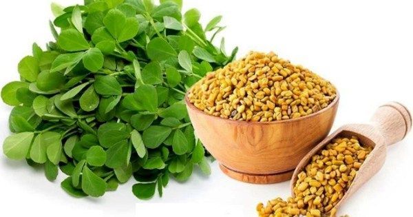 Surprising Health Benefits of Fenugreek Seeds Fenugreek Benefits, Lower Blood Sugar Naturally, Fenugreek Leaves, Water In The Morning, Ayurvedic Remedies, Fenugreek Seeds, Herbal Extracts, Anti Aging Cream, Vitamin B