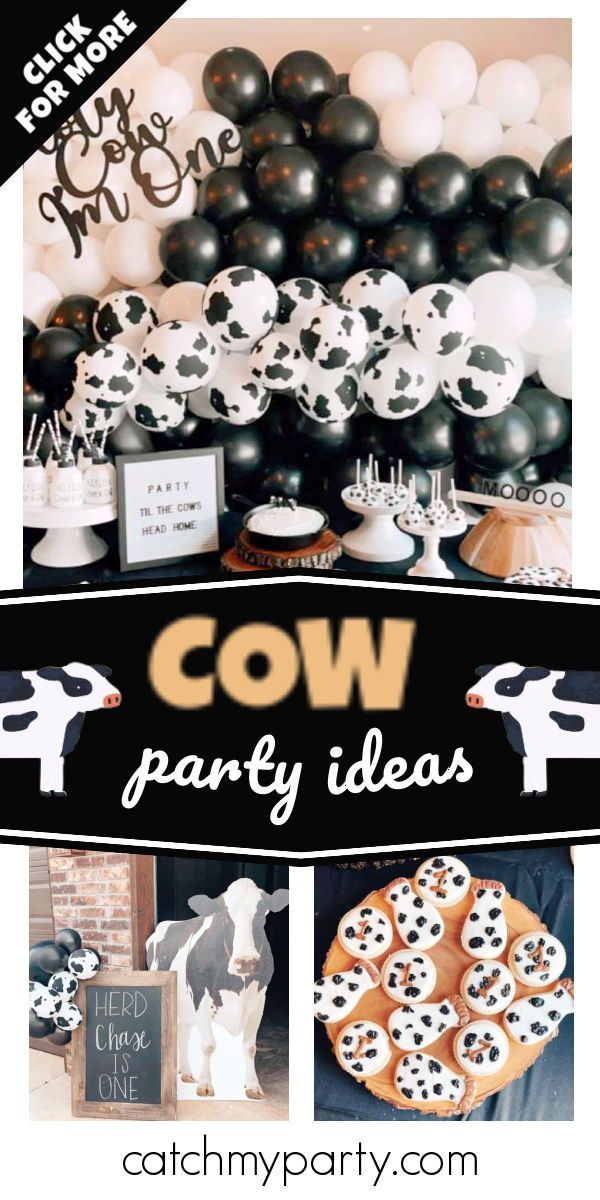 a cow party with black and white decorations