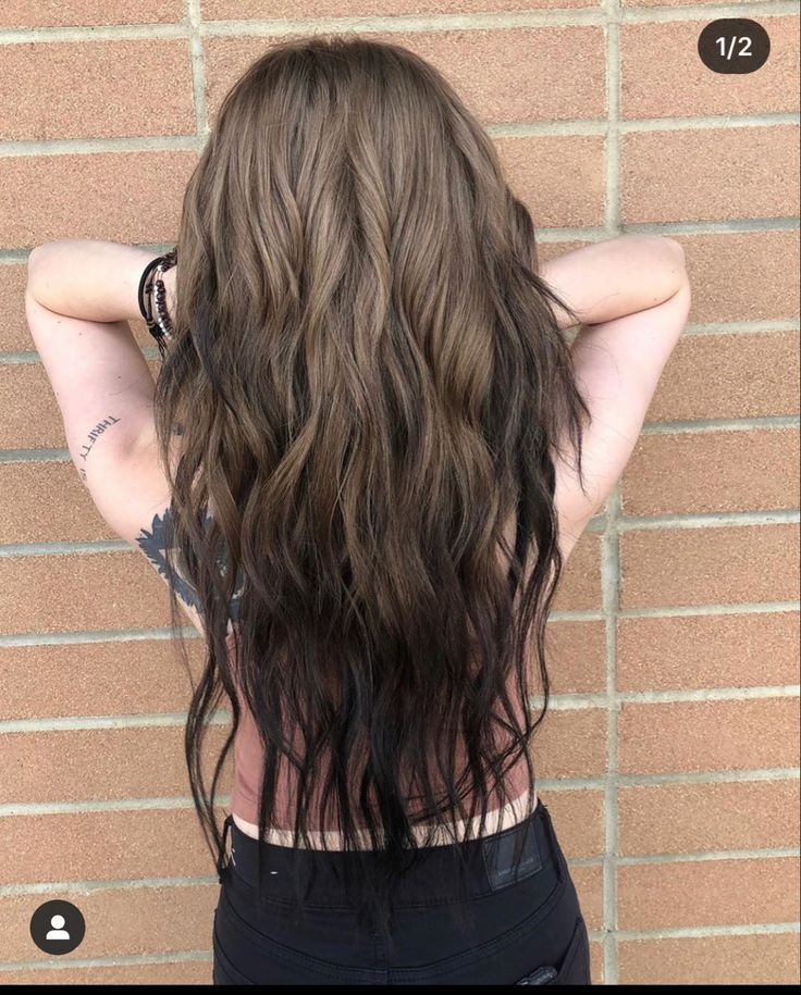 Natural Ombré Hair, Black Tip Hair Color, Reverse Balayage Brown To Black, Brown To Black Hair Ombre, Light Brown To Dark Brown Hair Ombre, Brown To Black Ombre Hair, Grown Out Black Hair Dye, Dark Brown Underneath Light Brown On Top, Growing Out Dark Hair Dye