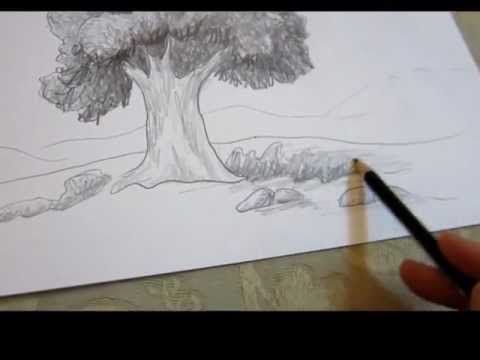 someone is drawing a tree with pencils