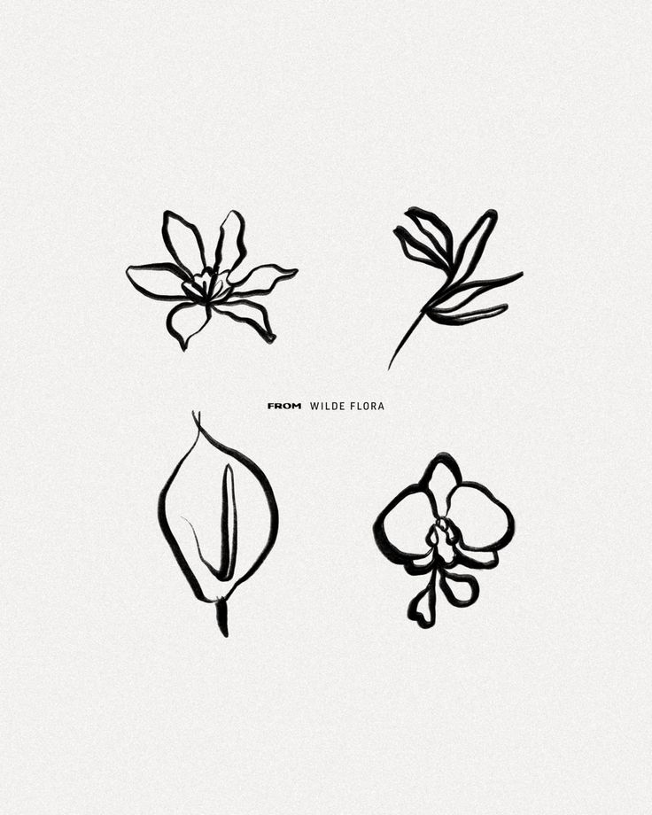 four different types of flowers on a white background