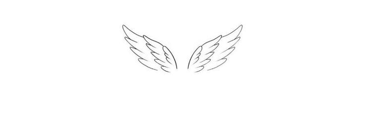 the outline of two wings on a white background