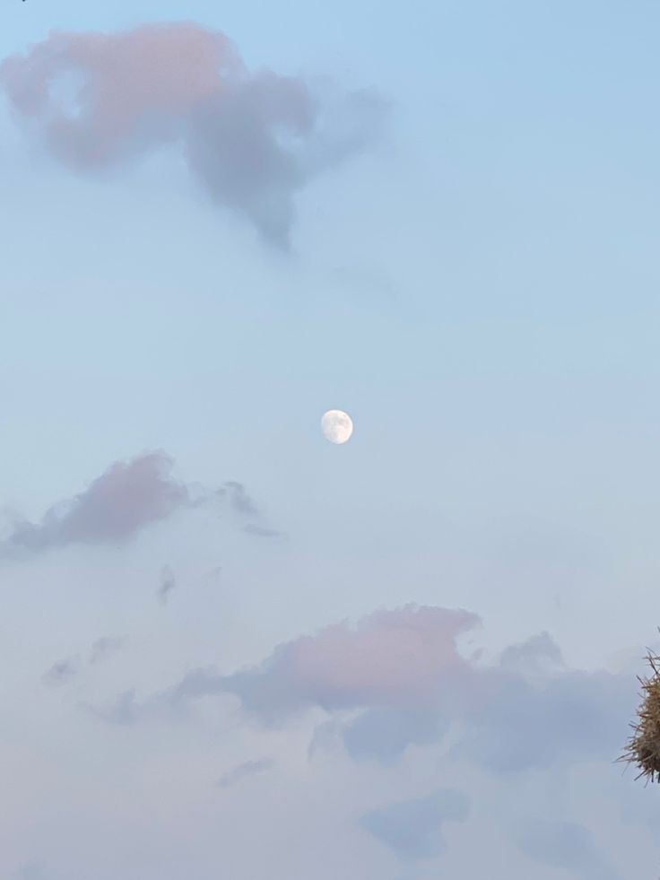 the full moon is visible in the sky above some trees and bushes on a cloudy day