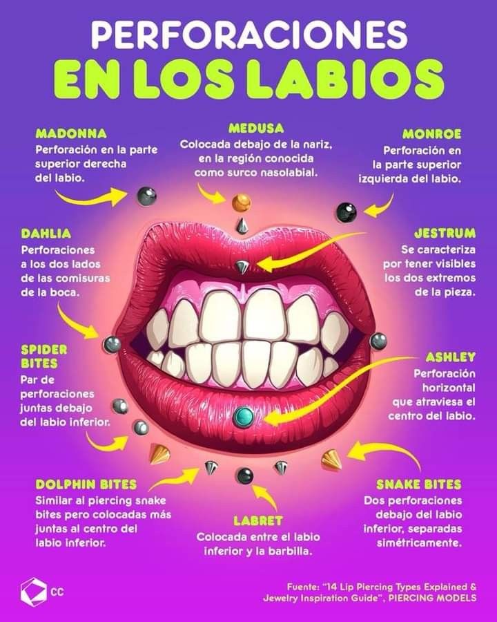 the mouth and teeth are labeled in spanish