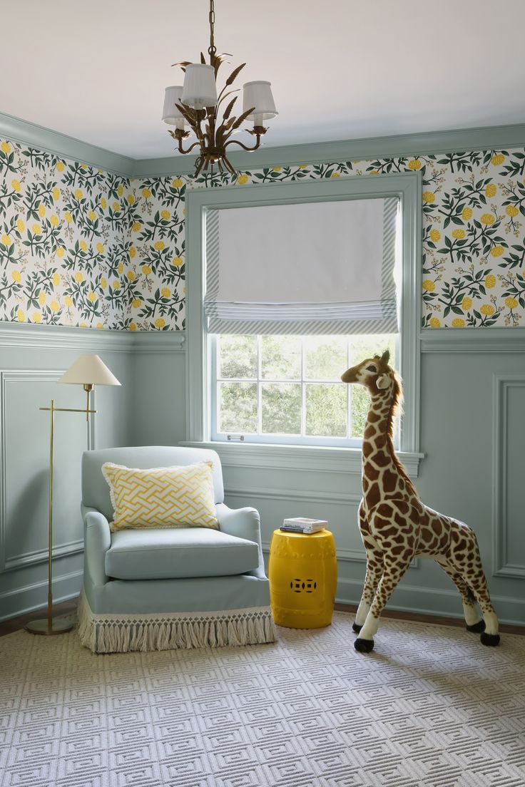 a giraffe standing next to a window in a living room with blue walls